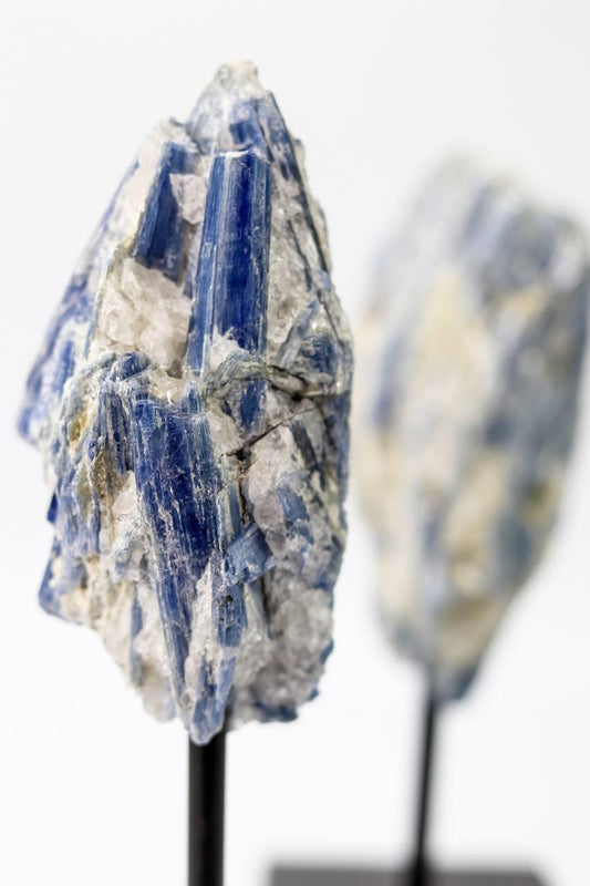 Cianita Azul na Base de Madeira Preta 200 a 450 gramas