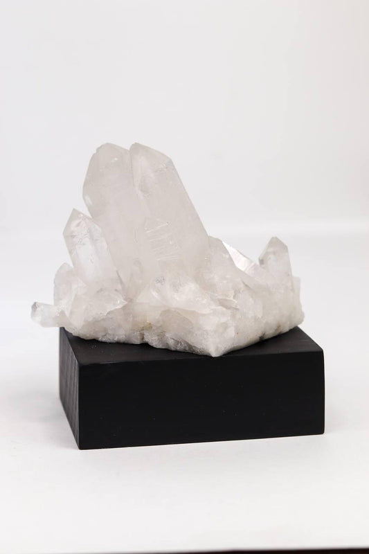 Drusa Cristal na Base Madeira Preta 317 gramas