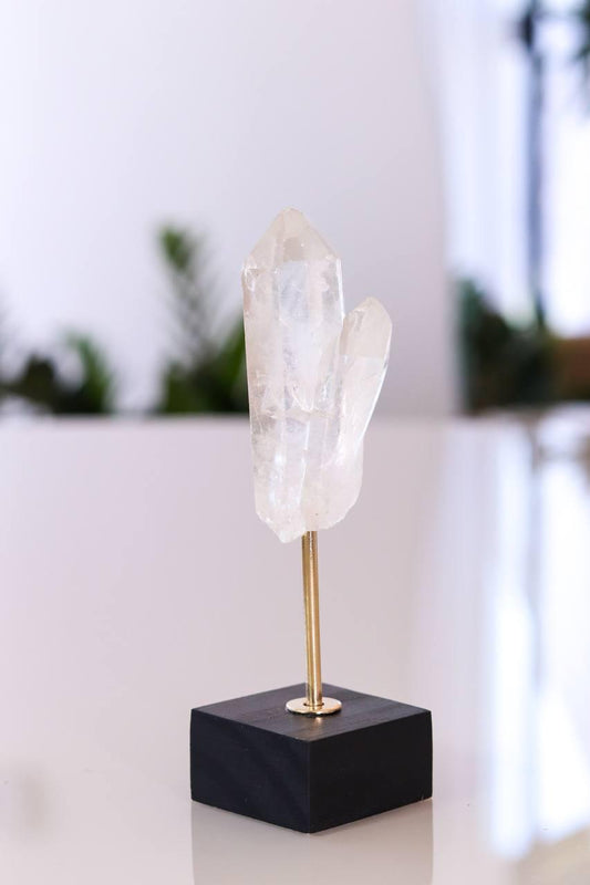 Drusa Cristal na Base de Madeira Preta