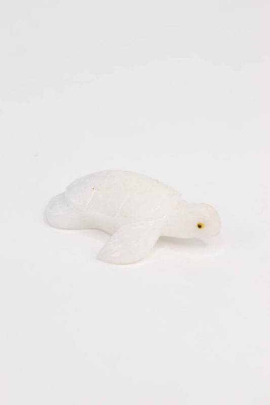 Tartaruga de Mármore Branco