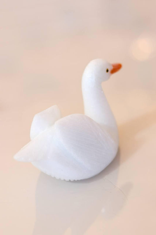 Cisne Dolomita branca