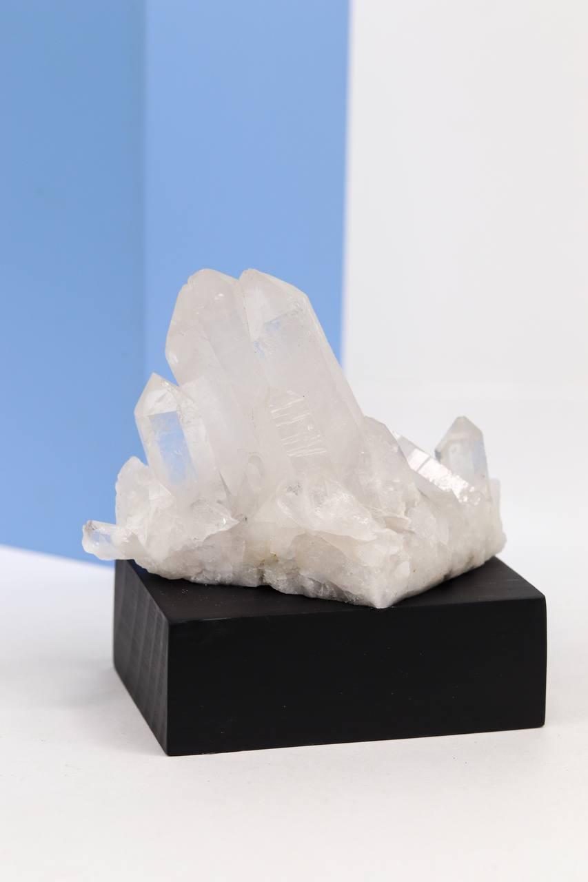 Drusa Cristal na Base Madeira Preta 317 gramas