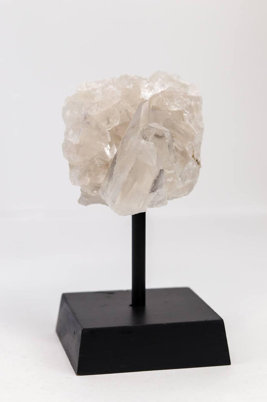 Drusa Cristal na Base de Madeira Preta 275 a 370 gramas