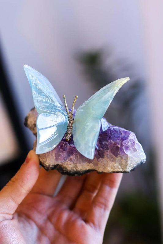 Borboleta Ônix Azul na Base de Drusa de Ametista