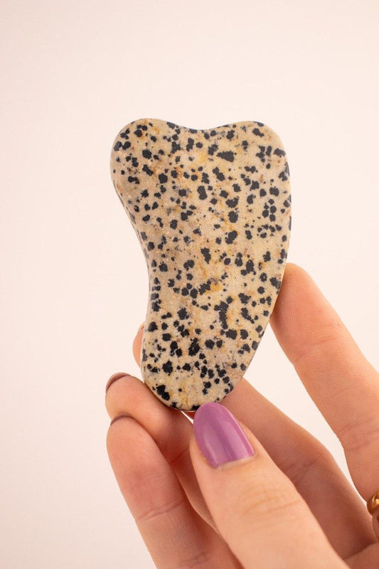 Gua Sha Jaspe Dalmata