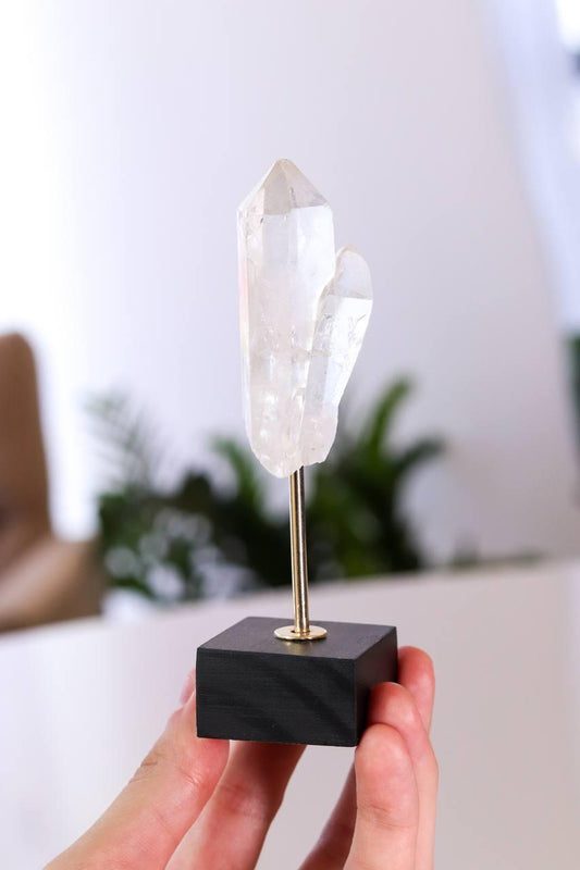 Drusa Cristal na Base de Madeira Preta