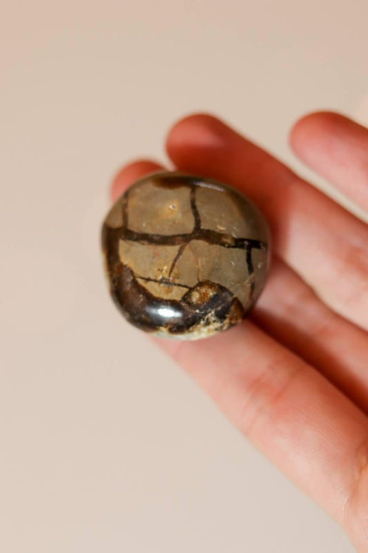 Pedra Septariana Rolada 42 a 50 gramas