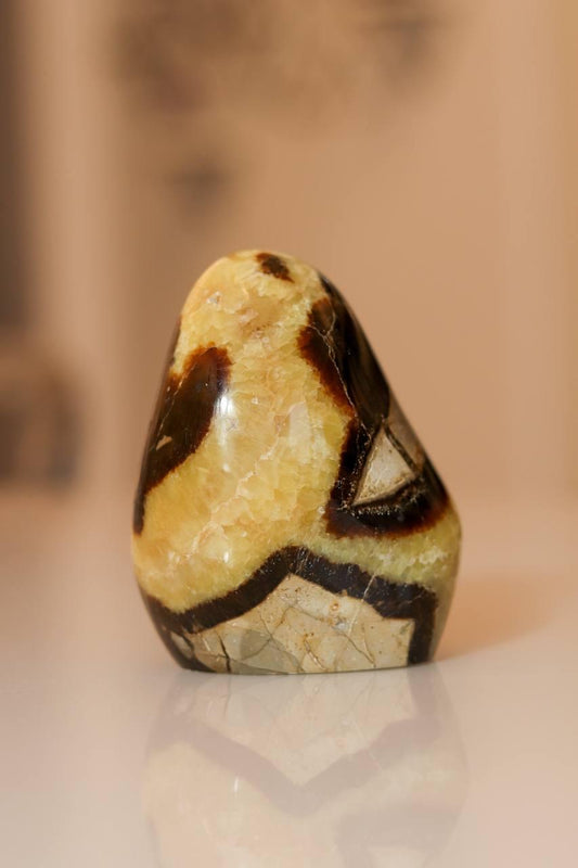 Pedra Septariana Polida 630 gramas
