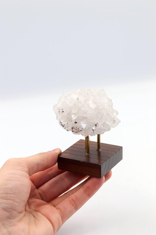 Pinha Drusa de Cristal na Base Madeira Marrom