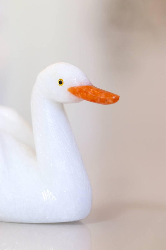 Cisne Dolomita branca