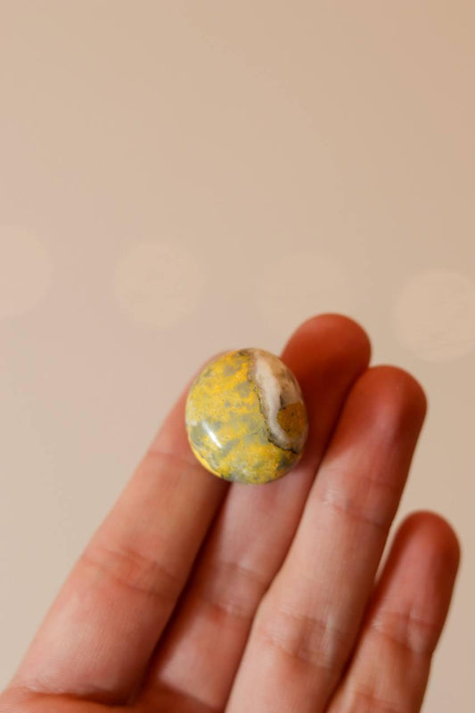 Pedra Jaspe Mamangaba (Bumblebee Jasper) Rolado 10 a 15 gramas