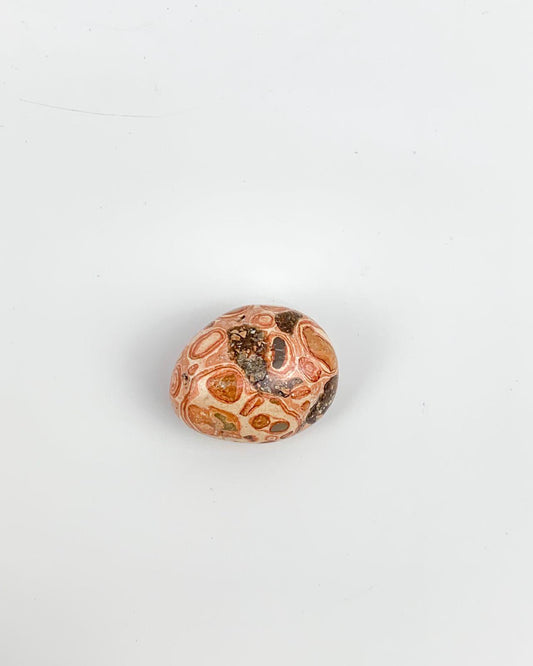 Pedra Leopardita Rolada 18 a 22 gramas