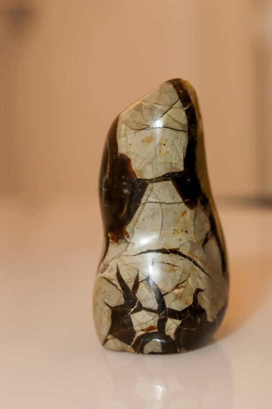 Pedra Septariana Polida 740 gramas