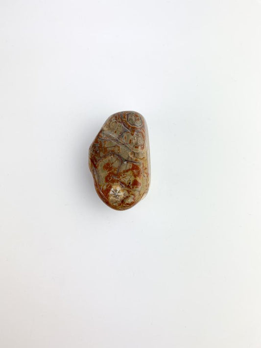 Pedra Jaspe Olho Pássaro Rolado 15 a 35 gramas