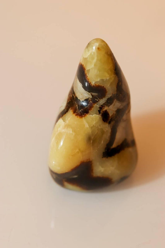 Pedra Septariana Polida 700 gramas