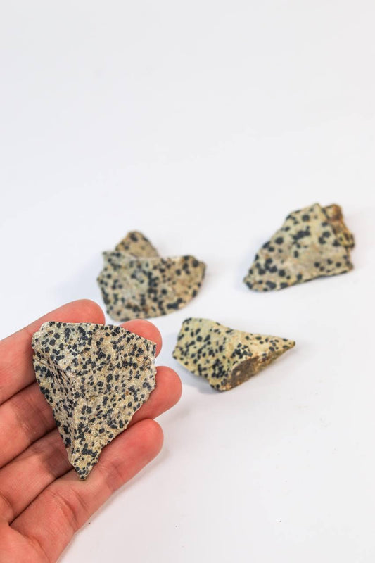 Pedra Dalmata Bruta 18 a 29 gramas