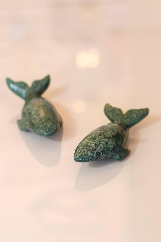 Baleia Serpentinita