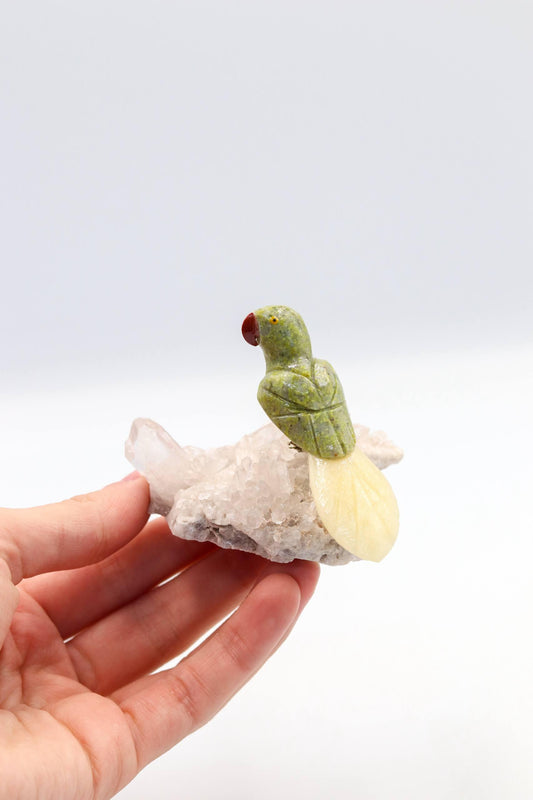 Arara Serpentinita na Base Drusa de Cristal