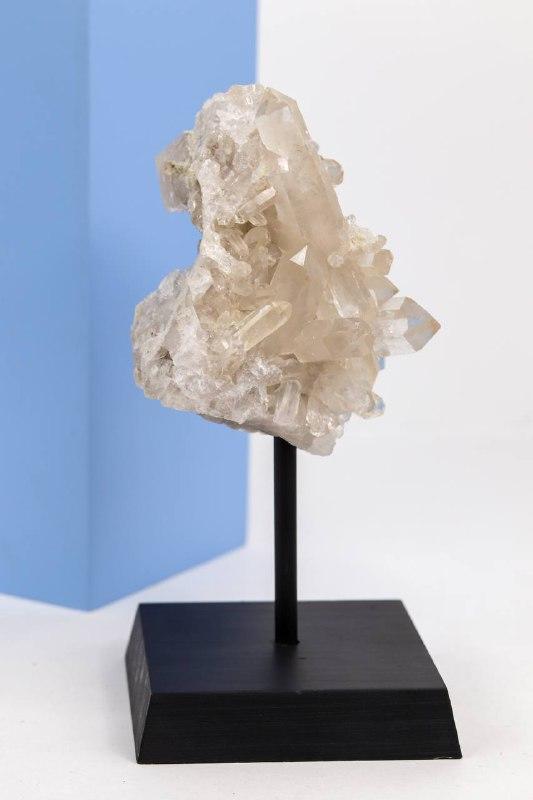 Drusa Cristal na Base de Madeira Preta 463 gramas