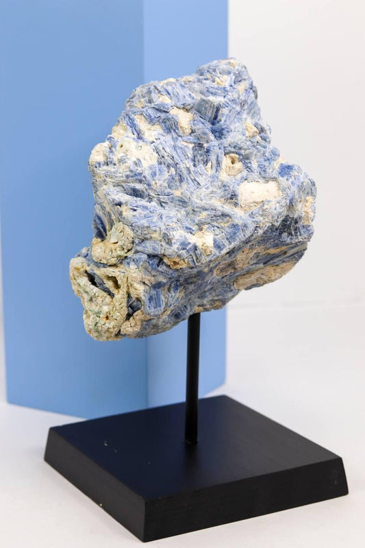 Cianita Azul na Base de Madeira Preta 1,818 gramas