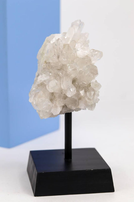 Drusa Cristal na Base de Madeira Preta 275 a 370 gramas