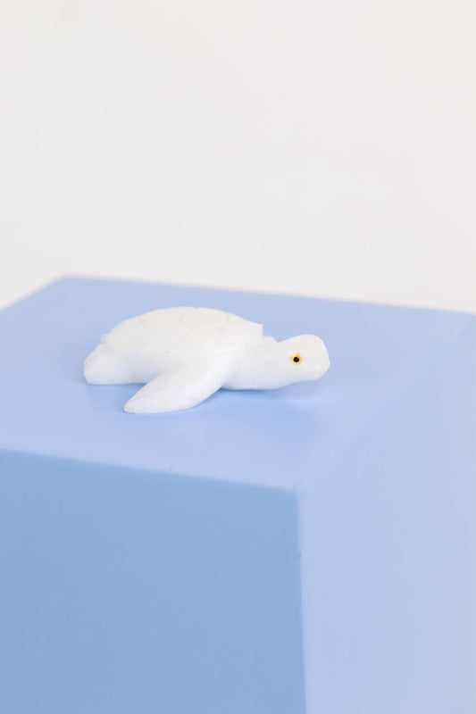 Tartaruga de Mármore Branco