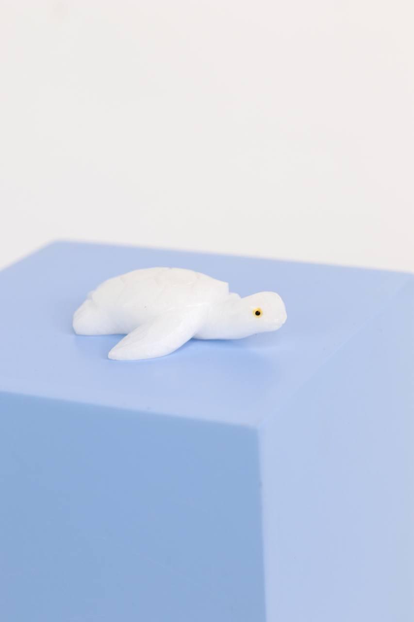 Tartaruga de Mármore Branco