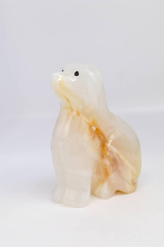 Cachorro Ônix Branco