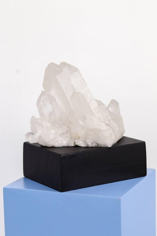Drusa Cristal na Base Madeira Preta 317 gramas