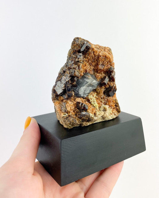 Pedra Granada Espessartita Grossulária na base de Madeira Preta 546 gramas