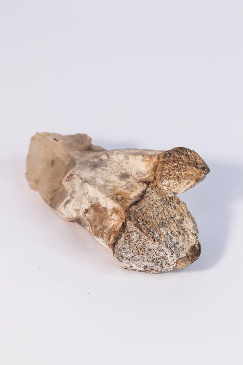Pedra Ponta Cristal de Quartzo Cetro Bruto 235 gramas